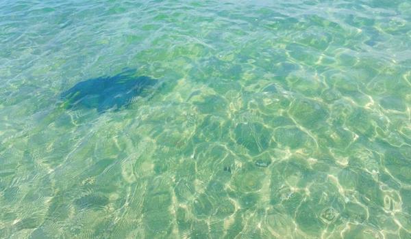 三角洲行动免费子弹仓库(三角洲行动有免费子弹仓库吗?) 三角洲行动免费子弹仓库(三角洲行动有免费子弹仓库吗?)